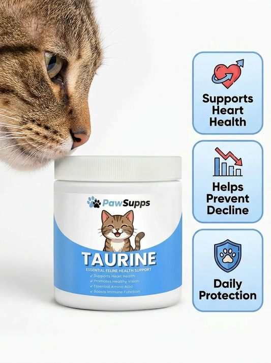 Don’t Wait for the Signs — Stop the Silent Deficiency with PawSupps™ Taurine Supplement